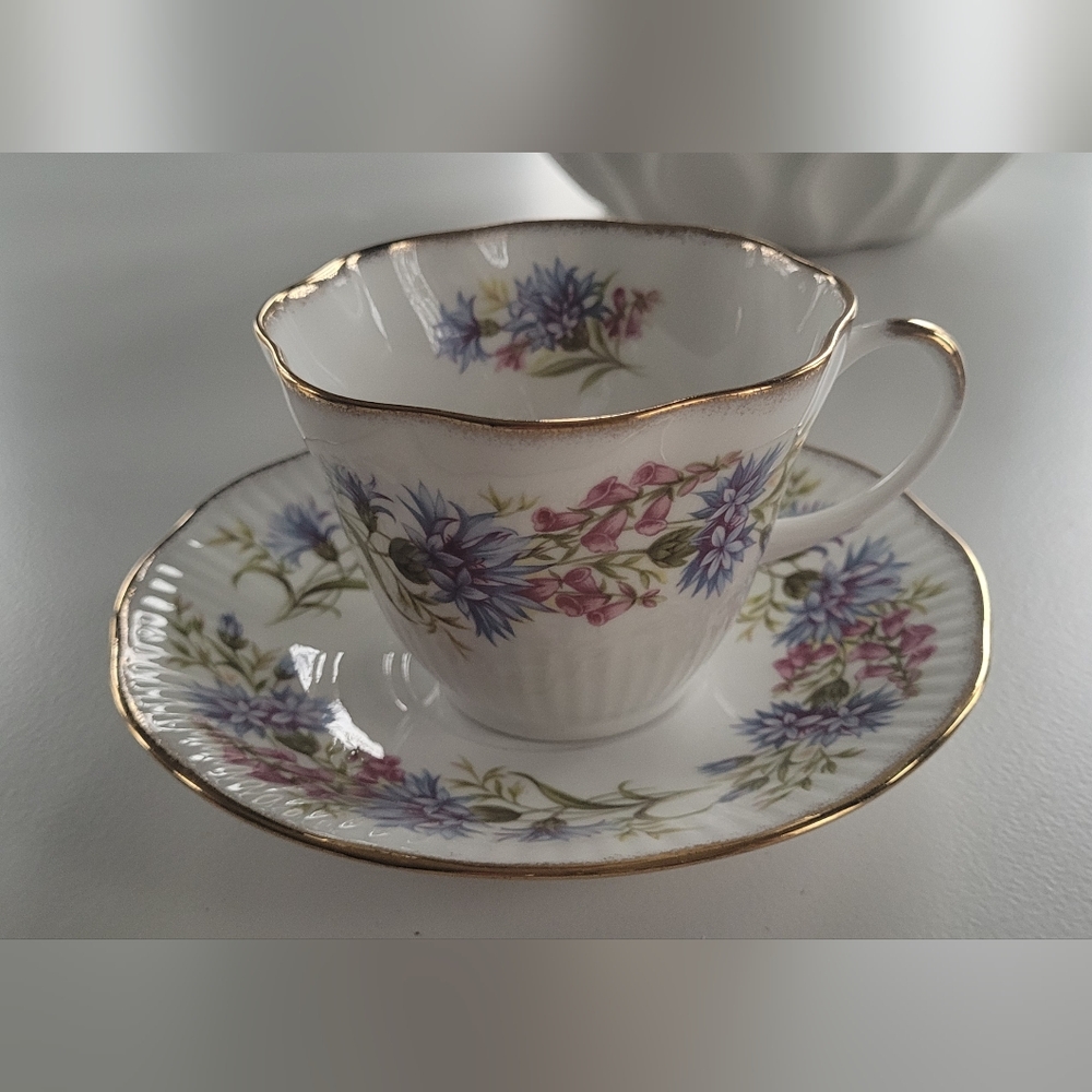 Royal Minster Fine Bone China Tea Cup And Saucer Set
